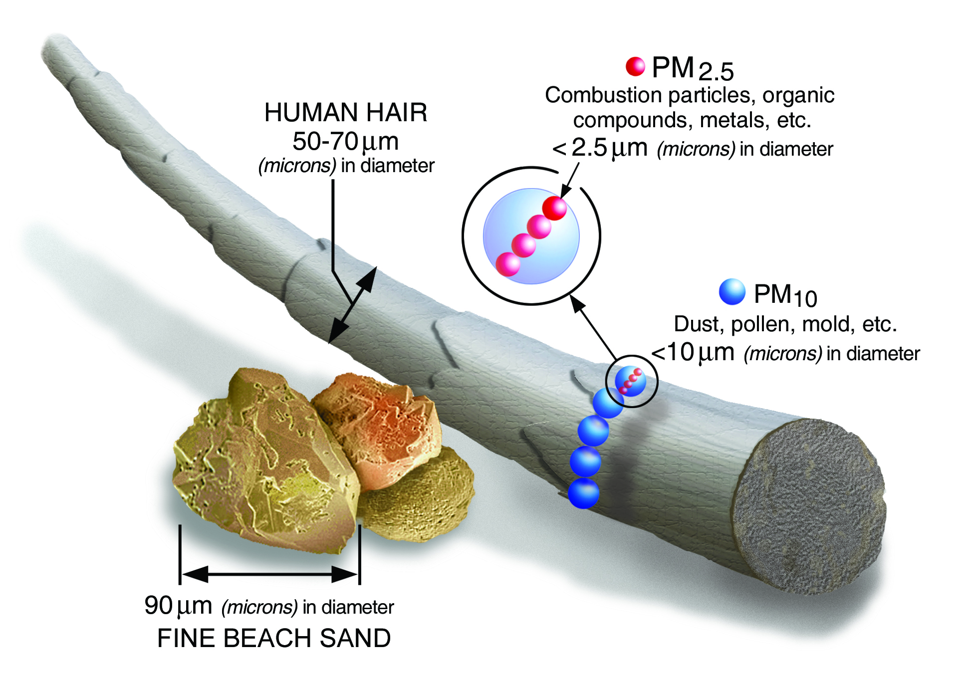 PM 2.5 micras